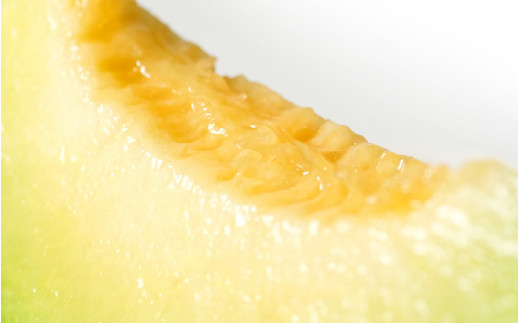 【先行予約】メロンの王様！アールスメロン 2玉入 2～3L 〈贈答用にも最適な最高級メロン〉／ 期間限定 果物 フルーツ 高級メロン マスクメロン 青肉 産地直送 ※2026年7月中旬より順次発送 [aw003-a011]