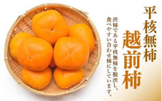 【先行予約】越前柿 16～20玉入 M～2L 《種なしで食べやすく甘い！》 あわらブランド ／ 期間限定 果物 フルーツ 産地直送 旬 お取り寄せ ※2026年10月中旬以降順次発送 [aw003-a006]