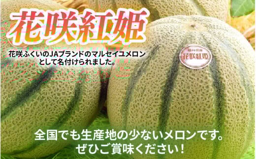 【先行予約】マルセイユメロン 2玉入 4Lサイズ ※2026年6月中旬より順次発送 [aw003-a007]