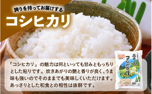 【令和7年産】福井のお米 食べ比べセット 2kg×3種 計6kg ／ 福井県産 ブランド米 ハナエチゼン コシヒカリ いちほまれ 精米 白米 食べ比べ [aw003-b002]