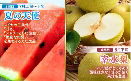 【先行予約】《全6回》あわら満喫 6種 フルーツ定期便 《あわらの旬が色々楽しめる♪》／ 果物 旬 食べ比べ 贈り物 定期便 マルセイユ アールス 大玉スイカ 梨 柿 ※2026年6月中旬以降順次発送 [aw003-e001]