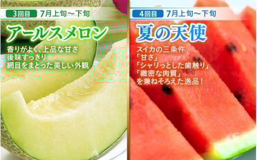 【先行予約】《全7回》あわら大満足 7種 フルーツ定期便 《あわらの旬が満載！》／ 果物 旬 食べ比べ 贈り物 定期便 マルセイユ アンデス アールス 大玉スイカ 梨 柿 ※2026年6月中旬以降順次発送 [aw003-j001]