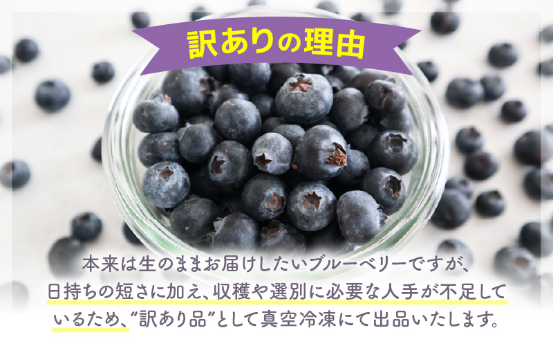 【訳あり】冷凍果実 福井県あわら市産 生食用ブルーベリー 真空冷凍 400g [aw007-a008]