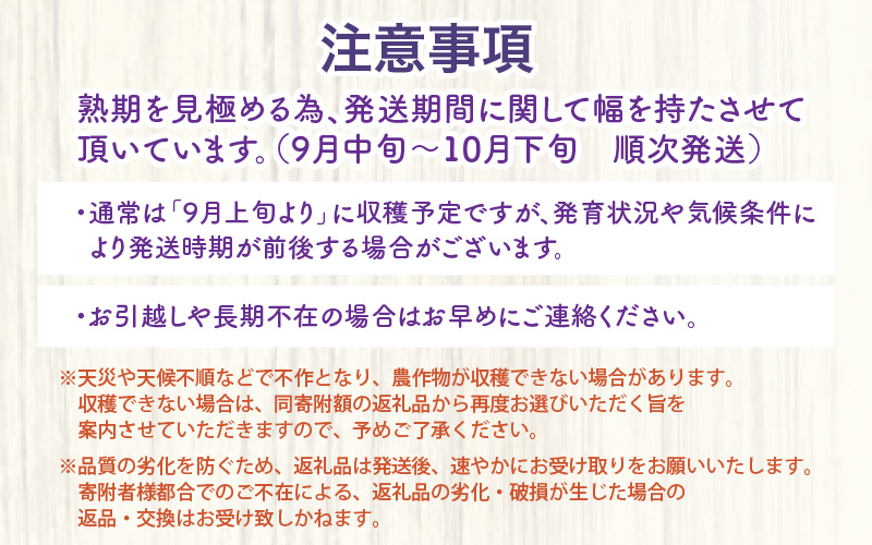 【先行予約】厳選シャインマスカット 1.7kg以上（3～4房）【種なし】フルーツパークOKAYU ※2026年9月中旬より順次発送 [aw007-b004]