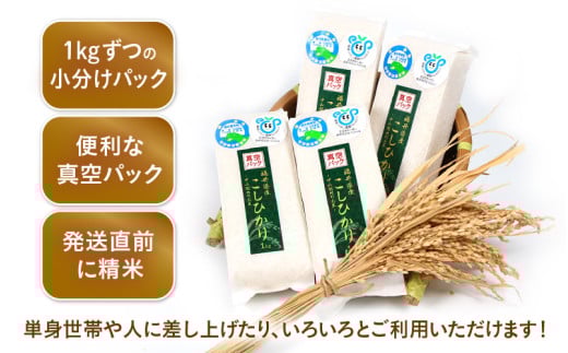 【令和7年産】 化学肥料不使用コシヒカリ 精米 4kg(1kg×4パック）【真空パック】 / 白米 米 福井県あわら市産 美味しい 特別栽培米 減農薬 安心な米 旨味 甘み もっちり エコファーマー こしひかり 冷蔵保管米 [aw010-a029]