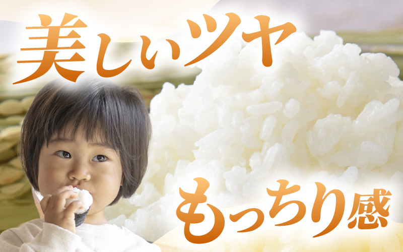 【令和7年産・新米】定期便 ≪12ヶ月連続お届け≫ あきさかり 精米 10kg × 12回（計120kg） ／ 福井県産 ブランド米 ご飯 白米 お米 コメ 新鮮 新米 [aw012-o007]