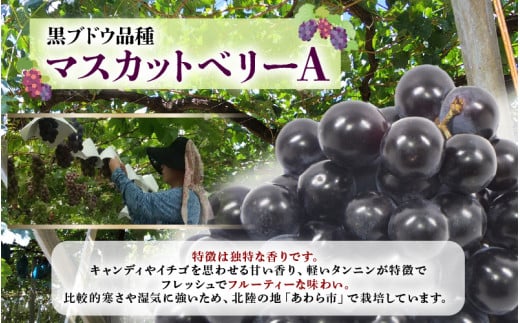 【福井県あわら市産】ふくいワイン【赤】 1本 / ワイン ワイナリー 赤ワイン ライトボディ ぶどう 葡萄 ふくいワイン ブランド フルーティー なめらか 人気 おすすめ プレゼント 贈り物 福井県 あわら市 [aw023-a003]