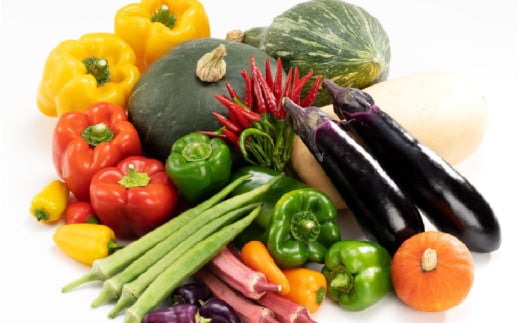 【3ヶ月連続お届け】農家直送 旬の野菜セット 7品目以上 1箱 ／ 定期便 3回 季節 野菜 ボックス BOX セット セレクト 農家 おまかせ 多品目 旬 詰め合わせ 根菜 葉物 [aw028-a001]