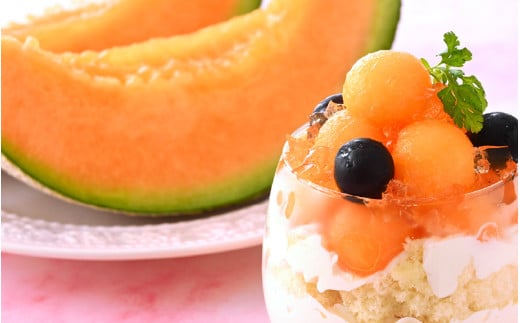 【先行予約】赤肉パリスメロン 秀品 1玉（1.5kg以上）【アールス系赤肉メロン】《糖度16度程度！1株1果採りで育てる高級メロン！》／ 果物 フルーツ 農家直送 赤肉 マスクメロン アールスメロン ギフト 贈答用 ※2026年7月上旬より順次発送予定 [aw028-a005]