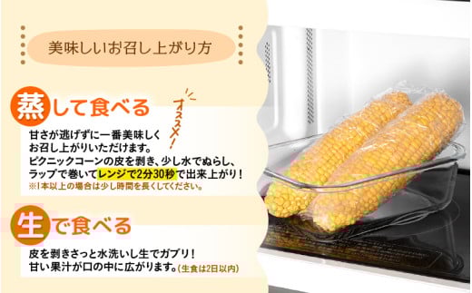 【先行予約】朝採り ピクニックコーン 黄色 10本入《生でも食べれる！希少品》 ／ 野菜 とうもろこし スイートコーン ※2026年6月上旬以降順次発送 [aw028-a007]