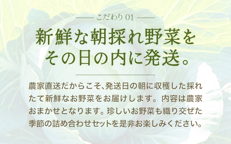 【5営業日発送！】農家直送 旬の野菜セット 7品目以上 1箱 [aw028-a012]