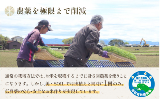 【先行予約】【令和8年産 新米】定期便《3ヶ月連続お届け》5kg×3回 15kg 特別栽培米 ミルキークイーン 精米 低農薬 《食味値85点以上！こだわり精米》 / 福井県 あわら市 北陸 米 お米 人気 白米 精米 ※2026年9月上旬より順次発送 [aw032-e005]