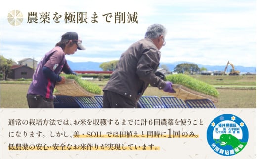 【先行予約】【令和8年産 新米】《定期便》5kg×6回 30kg 特別栽培米 コシヒカリ 低農薬 《食味値85点以上！こだわり極上米》 / 福井県 あわら 北陸 米 お米 人気 高品質 鮮度抜群 新米送 ※2026年9月中旬より順次発送 [aw032-j006]