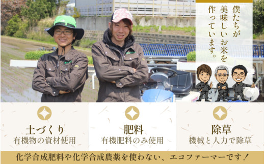 【先行予約】【令和8年産・新米】《定期便》特別栽培米 ハナエチゼン 低農薬 5kg×12回 60kg 《食味値85点以上！こだわり極上米》 / 福井県 あわら 北陸 米 お米 人気 ※2026年9月下旬以降順次発送 [aw032-n004]