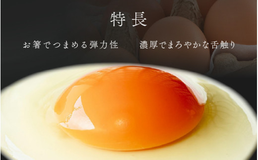 濃厚で甘くておいしい！ 福井ブランド「福地鶏」の卵 30個 ／ 卵 たまご 鶏卵 生卵 有精卵 高級 高級卵 福地鶏 鶏 平飼い 美味しい こだわり 卵かけご飯 料理 あわら市 福井県産 [aw036-a001]