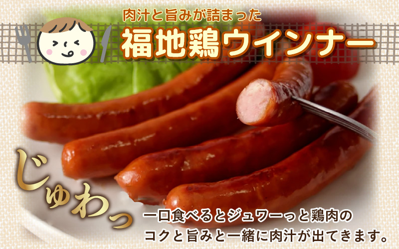福井ブランド「福地鶏」詰め合わせ 5種 ＜燻製モモ・ハム・ウインナー・ソーセージが色々楽しめるお肉セット＞ ／ 鶏肉 チキン おつまみ 朝食 アウトドア ギフト 贈答 [aw036-a011]