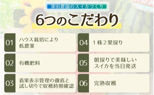 【先行予約】小玉すいか 愛娘(まなむすめ) 2kg以上 2玉入 ＜大玉のようなシャリ感！皮際まで抜群に甘い＞ / 期間限定 果物 フルーツ 産地直送 スイカ 小玉スイカ ※2026年6月上旬より順次発送 [aw039-a001]