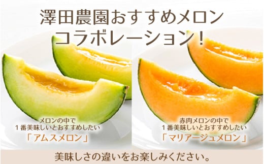 【先行予約】アムス・マリアージュメロン 2種（1.3kg以上2玉入）農園1番のおすすめ！ / 期間限定 果物 フルーツ 産地直送 青肉 赤肉 人気 ※2026年7月上旬より順次発送 [aw039-a003]