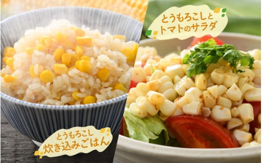 【先行予約】秋とうもろこし 8本 おおもの 黄色 朝採り ／ 期間限定 数量限定 ハウス栽培 産地直送 甘い スイートコーン とうもろこし 野菜 あわら ※2026年10月10日より順次発送 [aw039-a011]