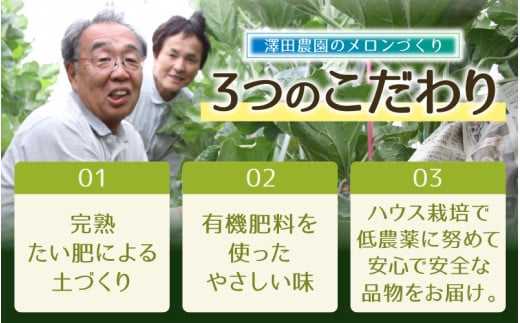 【先行予約】青肉マスクメロン（1.5kg以上 1玉入）味も見た目も抜群！アールスメロン  / 期間限定 果物 フルーツ 産地直送 青肉 人気 ギフト 贈答 ※2026年7月上旬より順次発送 [aw039-a015]