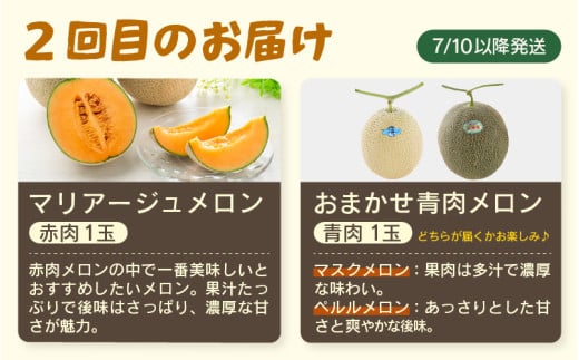 【先行予約】≪定期便/全3回≫フルーツ王国あわらのこだわり5品 農家直送 厳選品／ 期間限定 果物 フルーツ 青肉メロン 赤肉メロン 西瓜 とうもろこし 産地直送 ※2026年6月中旬より順次発送 [aw039-c001]