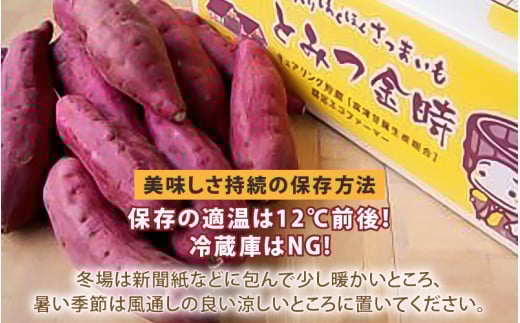【先行予約】さつまいも とみつ金時 5kg（S～Lサイズ）あわら産 熟成 ／ 焼き芋 スイートポテト 農家直送 期間限定  野菜 常備【2025年12月中旬以降順次発送予定】 [aw041-a001]