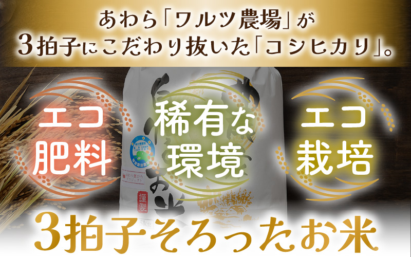 【先行予約】【令和8年産 新米】ワルツ農場の直播き コシヒカリ クリーン精米（無洗米） 5kg / お米 ご飯 白米 発送直前 精米 つや 艶 甘味 旨み あわら市産 福井県産 慣行栽培 コメ 北陸 福井県 あわら市 ※2026年10月下旬以降発送予定 [aw046-a007]
