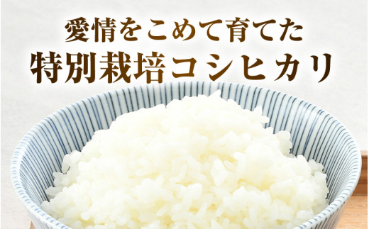 【令和7年産 新米】 特別栽培米 コシヒカリ 無洗米 5kg 低農薬 / 北陸 福井県産 あわら市 ブランド米 白米 お米 コメ 特栽米 [aw056-a025]
