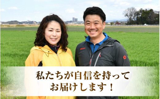 【令和7年産】 特別栽培米 コシヒカリ 無洗米 5kg 低農薬 / 北陸 福井県産 あわら市 ブランド米 白米 お米 コメ 特栽米 [aw056-a025]