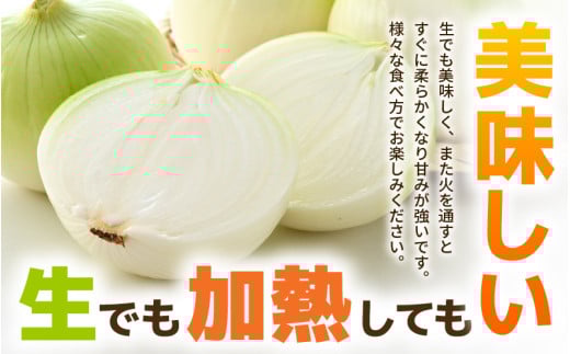 【先行予約】採れたて 新玉ねぎ 10kg（サイズ S M L ミックス）田んぼで育てた甘くて柔らか自慢の玉ねぎ！／ 常備 野菜 玉葱 たまねぎ 玉ネギ 甘い ※2026年6月以降順次発送予定 [aw056-a020]