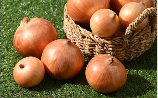 【先行予約】玉ねぎ 10kg（サイズ S M L ミックス）田んぼで育てた甘くて柔らか自慢の玉ねぎ！／ 野菜 万能 料理 常備 玉葱 BBQ たまねぎ 玉ネギ サラダ スープ ※2026年7月上旬より順次発送予定 [aw056-a022]