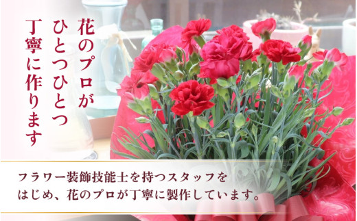【25セット限定 先行予約】カーネーション 赤 5号 鉢植え 生花 ＜数量限定！想いを届ける母の日ギフト＞ ※2026年5月6日～9日の間にお届け [aw062-a003]