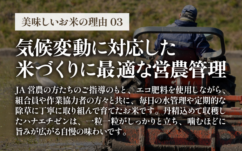 【先行予約】【令和8年産 新米】 エコ栽培ハナエチゼン　白米5kg ／ 鮮度抜群 福井県産 はなえちぜん ご飯 新鮮 白米 ※2026年9月上旬以降順次発送予定 [aw063-a016]