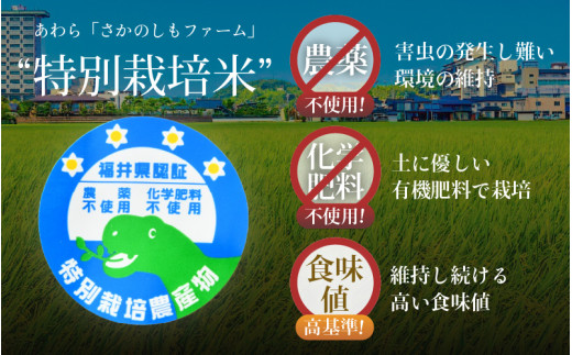 【先行予約】【令和8年産 新米】 ミルキークイーン 玄米 10kg （5kg×2袋） 特別栽培米 農薬不使用 化学肥料不使用 ／ 高品質 鮮度抜群 福井県産 ブランド米 ※2026年10月上旬以降順次発送 [aw063-c002]