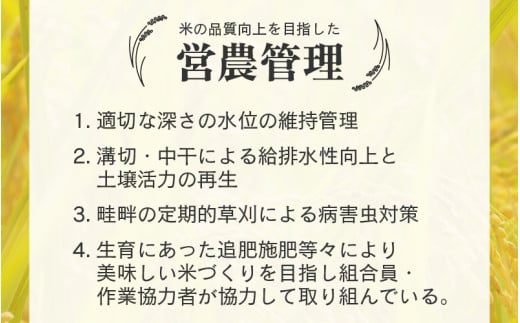【先行予約】【令和8年産 新米】エコ栽培コシヒカリ 玄米10kg（5kg×2） ／ 鮮度抜群 福井県産 こしひかり ご飯 新鮮 玄米 ※2026年10月上旬以降順次発送 [aw063-b007]