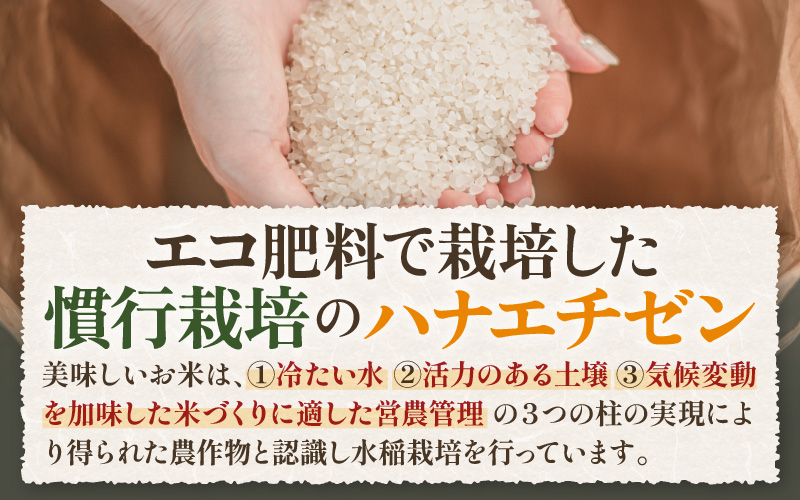 【先行予約】【令和8年産 新米】 定期便≪3ヶ月連続お届け≫エコ栽培ハナエチゼン 精米 10kg×3回（計30kg） ／ 鮮度抜群 福井県産 はなえちぜん ご飯 新鮮 白米 ※2026年9月上旬以降順次発送予定 [aw063-f002]