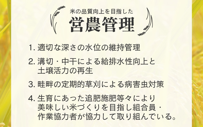 【先行予約】【令和8年産 新米】《定期便3回》エコ栽培コシヒカリ 白米10kg（5kg×2袋）計30kg ／ 鮮度抜群 福井県産 こしひかり ご飯 新鮮 白米 ※2026年10月上旬以降順次発送 [aw063-g001]