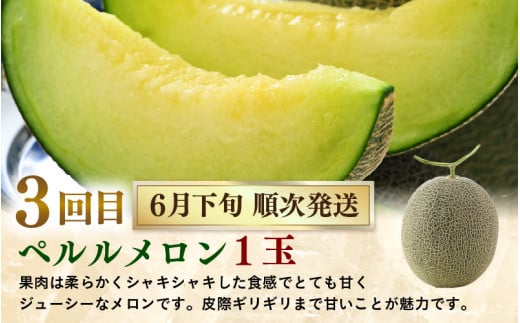 【先行予約】《定期便全5回》フルーツ大満足定期便 ／ すいか マスクメロン 高級メロン 大玉 果物 フルーツ 夏 ギフト 農家直送 ※2026年6月上旬以降発送  [aw065-d001]