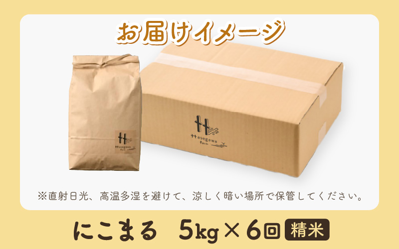 【令和7年産 新米】定期便《6ヶ月連続お届け》精米 にこまる 5kg（計30kg）＜低農薬栽培＞ ／ 高品質 鮮度抜群 福井県 あわら市産 ブランド米 白米 お米 米 [aw066-f001]