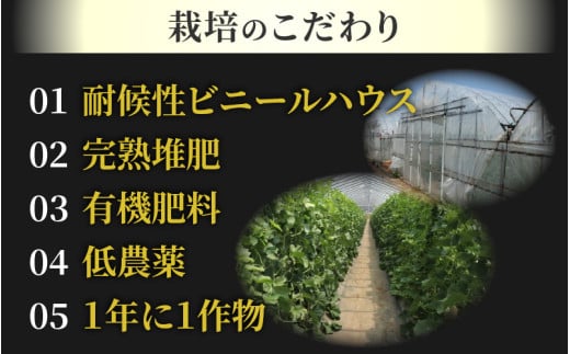 【先行予約】佐藤農園の小玉スイカ・マルセイユメロン セット 計2玉（約2.5kg～3kg） 秀品 農家直送 有機肥料 低農薬 ※2026年6月上旬より順次発送 [aw069-a004]