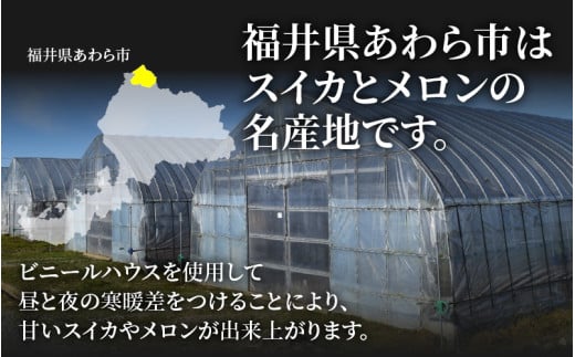 【先行予約】【秀品】佐藤農園の小玉スイカとレノンメロンのセット 計2玉 / 農家直送 有機肥料 低農薬 すいか フルーツ 果物 くだもの 野菜 赤い食べ物 甘い 贈答 旬 夏 福井県あわら市産 ※2026年6月中旬より発送順次発送 [aw069-a010]