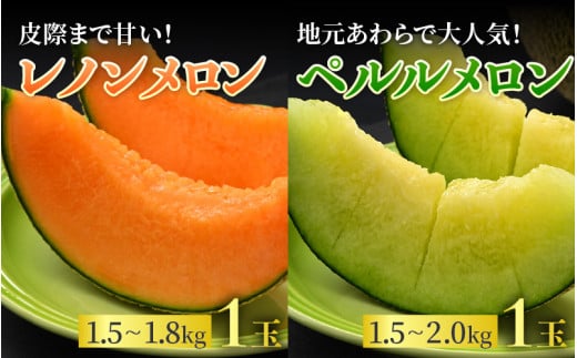 【先行予約】《定期便全2回》佐藤農園のフルーツ定期便 朝採り 計4玉（小玉スイカ・マルセイユメロン・レノンメロン・ペルルメロン）農家直送 秀品 お届け！※2026年6月上旬より順次発送 [aw069-b001]