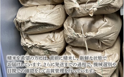 【先行予約】【令和8年産 新米】【定期便12回】伊与衛門農園の自然栽培コシヒカリ精米 5kg×12回 伊与衛門農園の特別栽培米＜温度と湿度を常時管理し新鮮米を出荷！＞ / 米 白米 自然の力 高品質 鮮度抜群 ブランド米 福井県 あわら市産 スマート農業 ※2026年10月下旬以降順次発送 [aw071-o004]