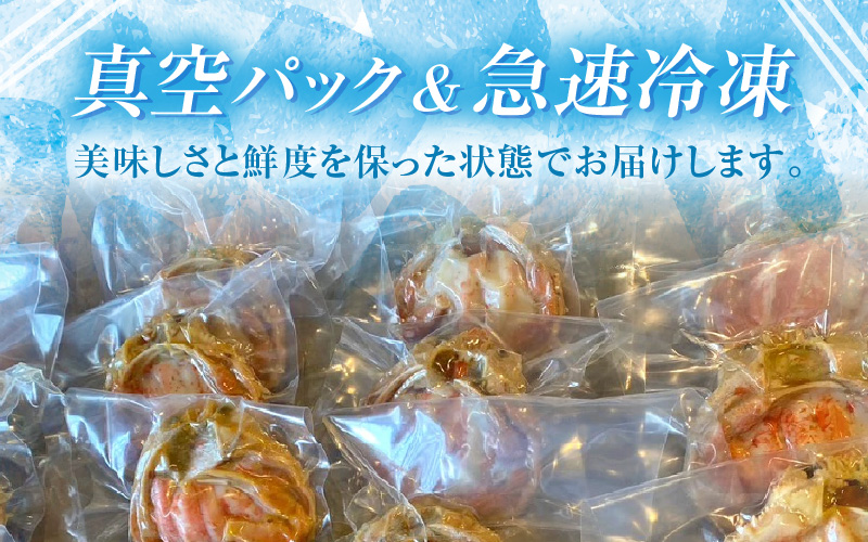 【訳あり】【国産】寿司屋のせいこがにの甲羅盛り 3個（1個 約80g前後） / セイコガニ 甲羅盛り 福井 あわら市 [aw080-a002]