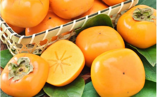 【先行予約】【種なし】 甘い！越前柿12個入り 脱渋済み 本場柿原郷で収穫 ※2026年10月中旬以降順次発送予定 [aw082-a001]