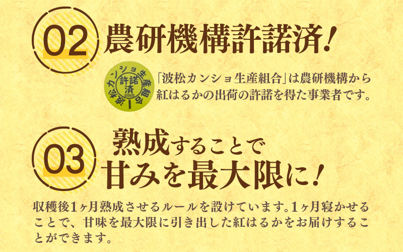 あわら市波松産 紅はるか 5kg / 厳選 不揃い さつまいも 土付き 熟成 焼き芋 福井県 薩摩芋 密芋 スイートポテト しっとり ほっくり 自然のスイーツ 極甘 農研機構許諾済 メディアで人気 腸活 [aw084-a002]