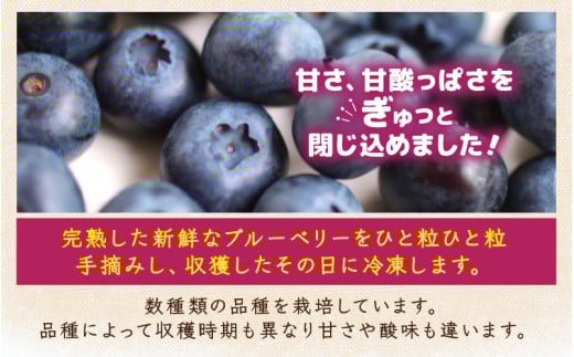 【先行予約】【訳あり】【冷凍】あわらフルーツランドのブルーベリー 800g （400g×2袋） 【完熟】 / フルーツ 果物 くだもの 福井県 あわら市 小分け 便利 たっぷり 完熟 ご当地 国産 おすすめ ※2026年8月上旬より順次発送 [aw091-a002]