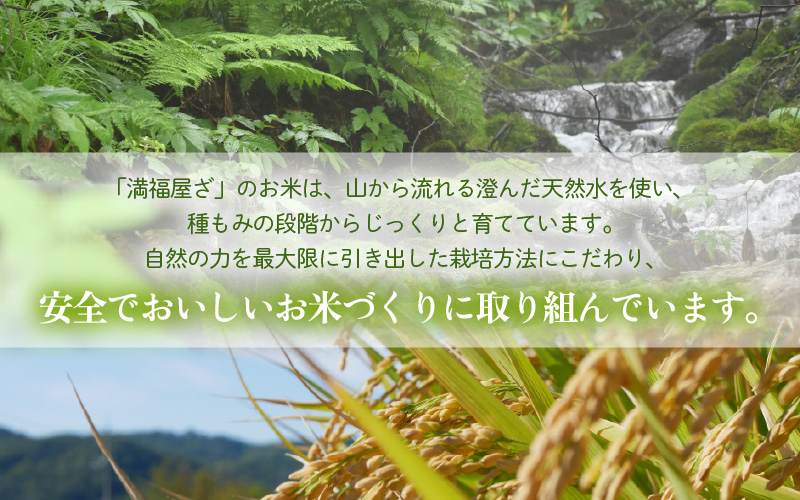 【先行予約】【令和8年産】コシヒカリ 玄米 20kg / 米 こしひかり コシヒカリ 福井県 一等米 玄米 あわら市 福井県 コスパ ※2026年9月下旬より順次発送予定 [aw096-d003]
