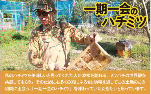 【天然はちみつ】 raw honey あわら蜜 1個 / 非加熱 生産者直送 蜂蜜 ミツバチ 純はちみつ ローヤルゼリー 生はちみつ みつばち [aw101-a001]