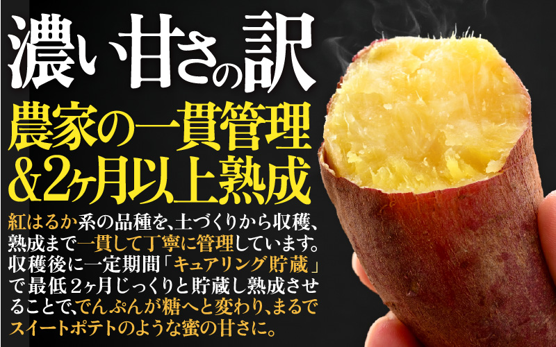 さつまいも 富紅娘（ふくむすめ）S~2Lサイズ 5kg / 紅はるか べにはるか さつま芋 国産 芋 産地直送 熟成 サツマイモ [aw108-a001]